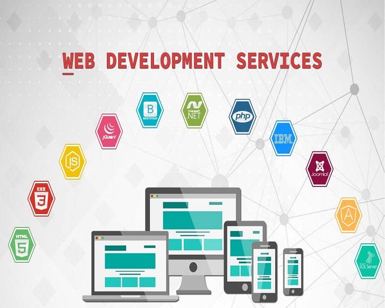 Website Design & Development
